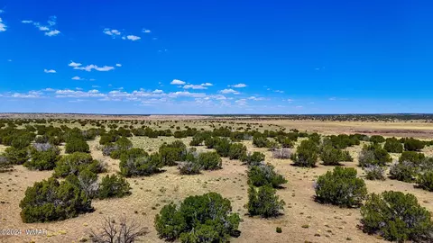 tbd N6655 4045 Acres, Saint Johns, AZ 85936