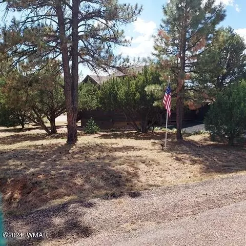 2740 Kitty Hawk Ln, Overgaard, AZ 85933 photo 5