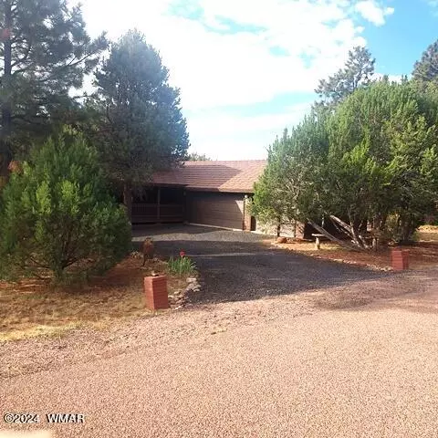 2740 Kitty Hawk Ln, Overgaard, AZ 85933 photo 3