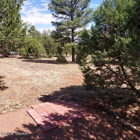 2740 Kitty Hawk Ln, Overgaard, AZ 85933 photo 22