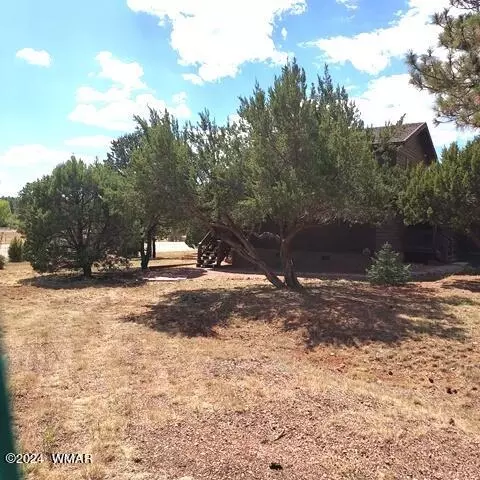 2740 Kitty Hawk Ln, Overgaard, AZ 85933 photo 6