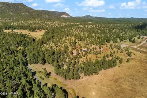 View/Area - 63 2330, Alpine, AZ 85920 photo 1 of 1