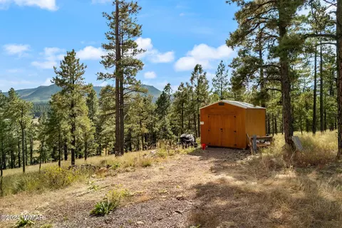 Other - 63 2330, Alpine, AZ 85920 photo 7 of 10