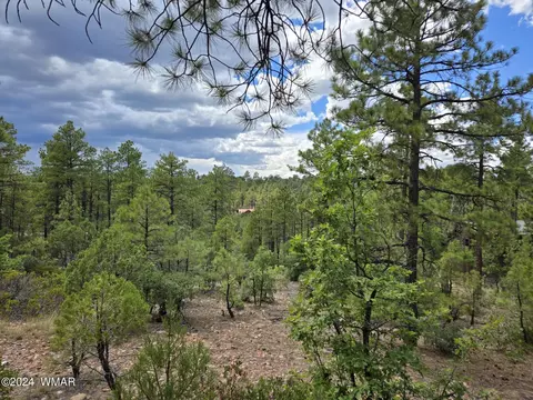 2075 S Pleasant View Dr, Show Low, AZ 85901