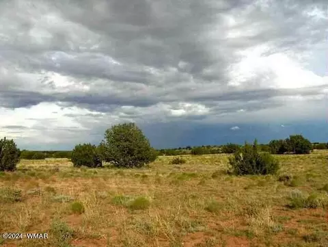 5963 Mesa View Dr, Heber, AZ 85928