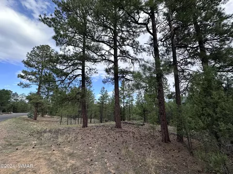 4500 W Foxglove Ln, Show Low, AZ 85901