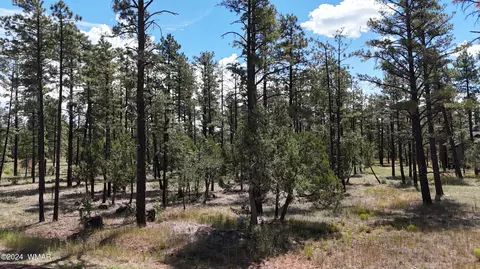 5383 Stilletto Dr, Lakeside, AZ 85929