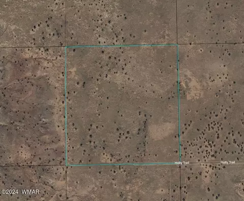 8492 Holly Trl, Snowflake, AZ 85937