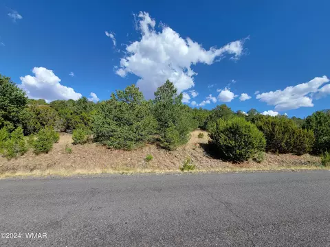 lot10 S Spruce St, Eagar, AZ 85925 photo 3