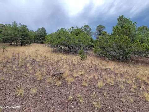 lot10 S Spruce St, Eagar, AZ 85925 photo 5