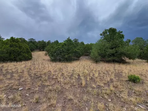 lot10 S Spruce St, Eagar, AZ 85925 photo 4