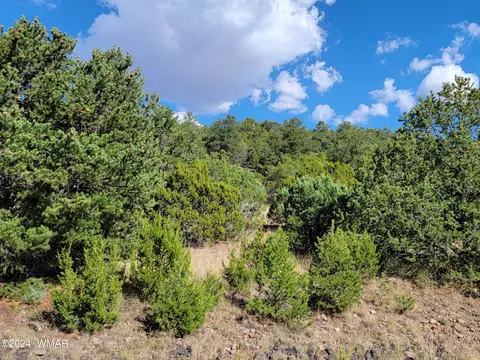 lot10 S Spruce St, Eagar, AZ 85925