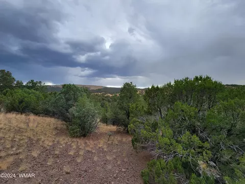 lot11 S Spruce St, Eagar, AZ 85925 photo 5