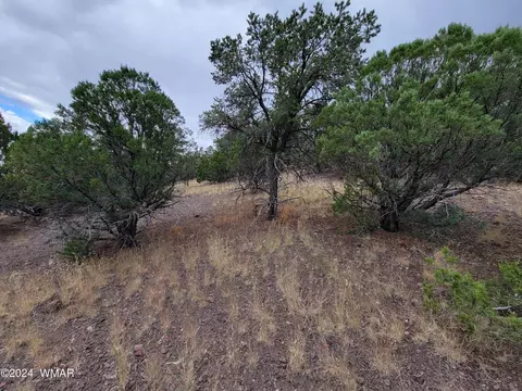 lot11 S Spruce St, Eagar, AZ 85925 photo 4