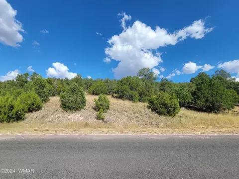 lot11 S Spruce St, Eagar, AZ 85925 photo 3