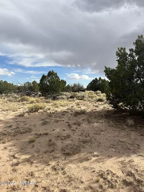 tbd N7273, Saint Johns, AZ 85936