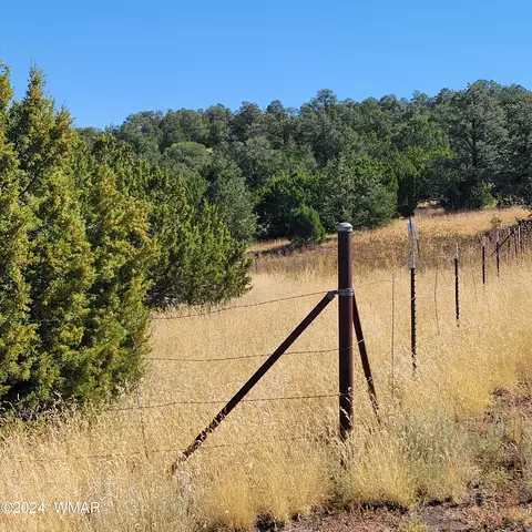 tbd W Lesueur Dr, Eagar, AZ 85925 photo 2