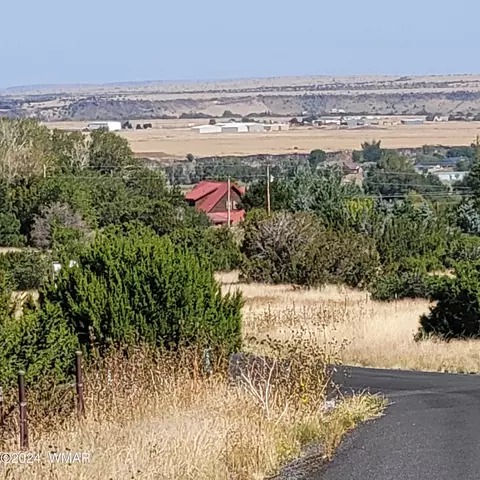 tbd W Lesueur Dr, Eagar, AZ 85925 photo 6