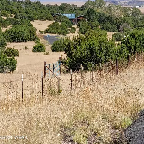 tbd W Lesueur Dr, Eagar, AZ 85925