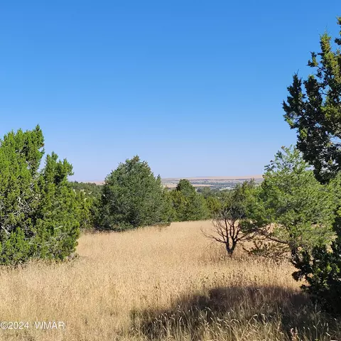 tbd W Lesueur Dr, Eagar, AZ 85925 photo 4
