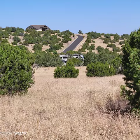 tbd W Lesueur Dr, Eagar, AZ 85925 photo 5