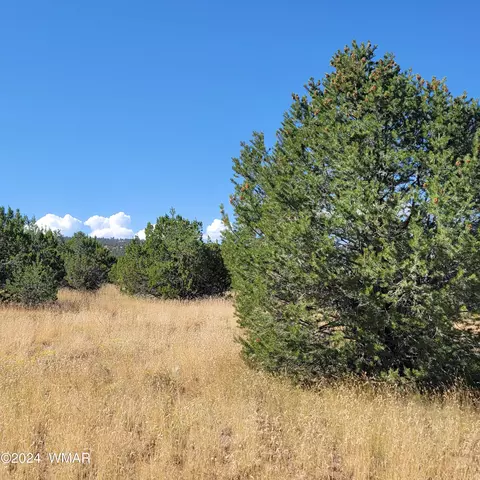 tbd W Lesueur Dr, Eagar, AZ 85925 photo 3