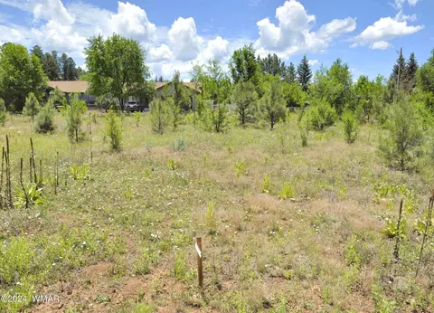 35 Rosemarie Ct # W, Pinetop, AZ 85935