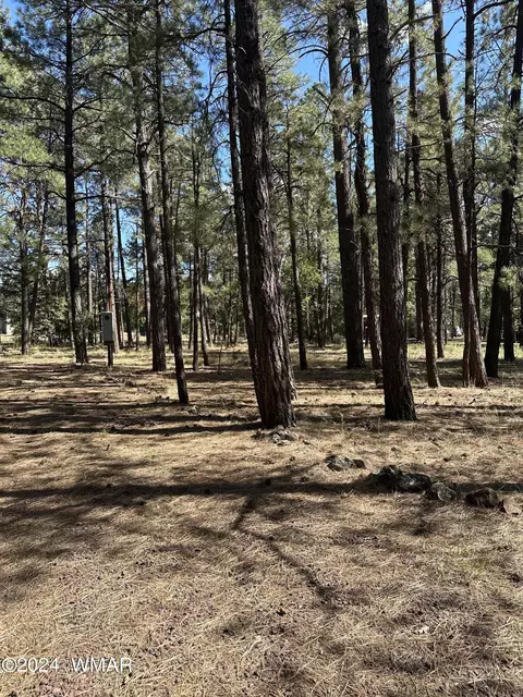 tbd S Pine Meadow Ln, Pinetop, AZ 85935