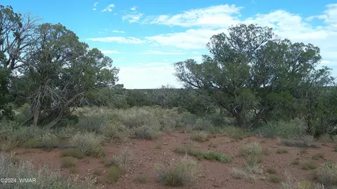 4389 Indian Bend Rd, Snowflake, AZ 85937