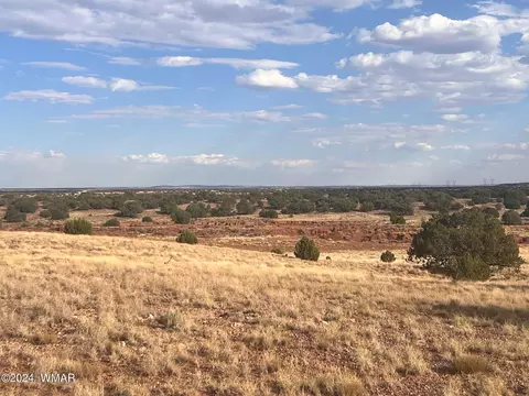 N9237 Miller Lane, Concho, AZ 85924