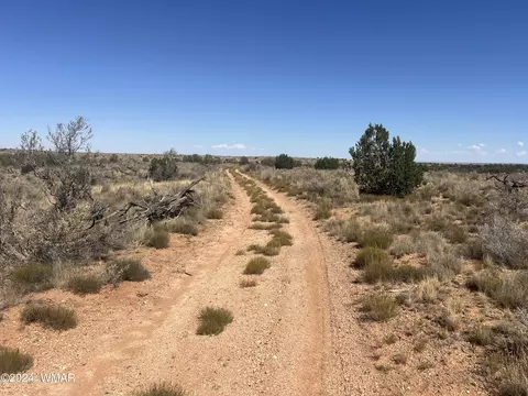 tbd Six Mile Draw Rd, Snowflake, AZ 85937