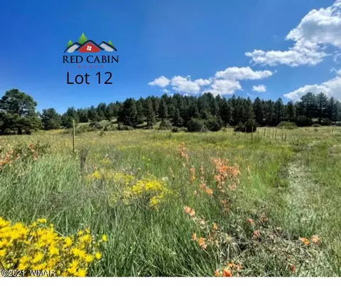lot12 Red Cabin Rnch, Vernon, AZ 85940