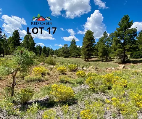 lot17 Red Cabin Rnch, Vernon, AZ 85940