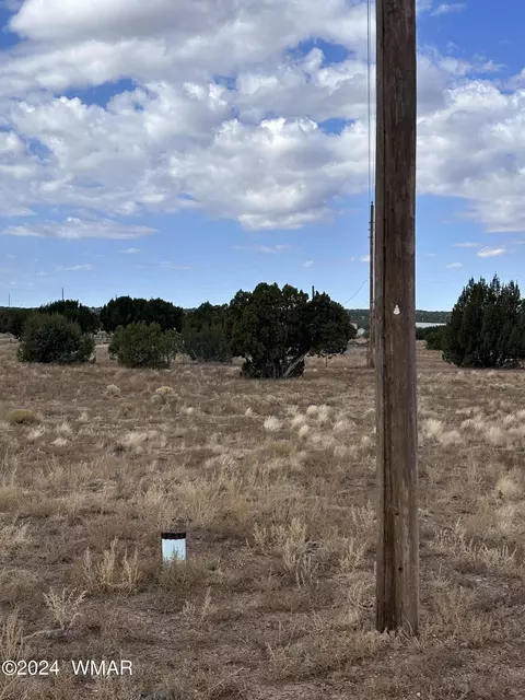155 Cinder Dr, Concho, AZ 85924 photo 6