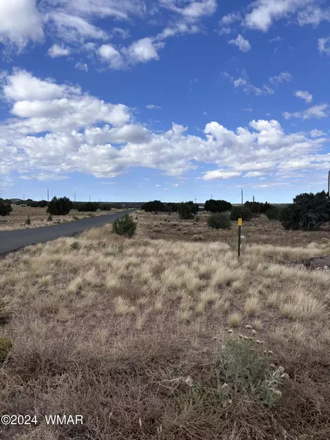 155 Cinder Dr, Concho, AZ 85924