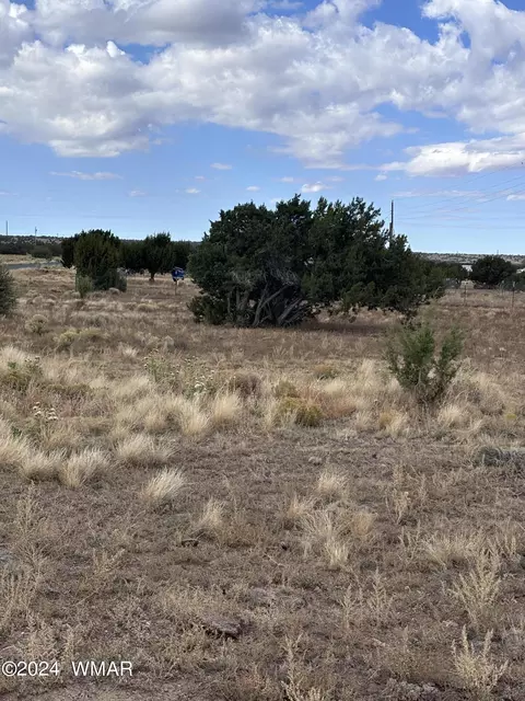 155 Cinder Dr, Concho, AZ 85924 photo 3