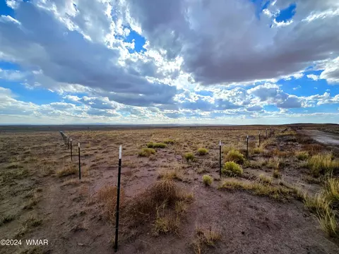 lot299 Carrizo Rnch, Saint Johns, AZ 85936