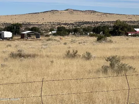 1593 E 1st Ave, Eagar, AZ 85925 photo 2