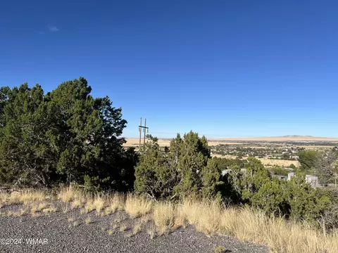 tbd S Skyline Dr, Eagar, AZ 85925 photo 3