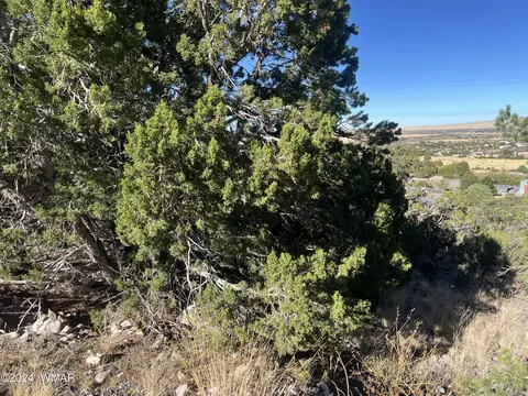 tbd S Skyline Dr, Eagar, AZ 85925 photo 4