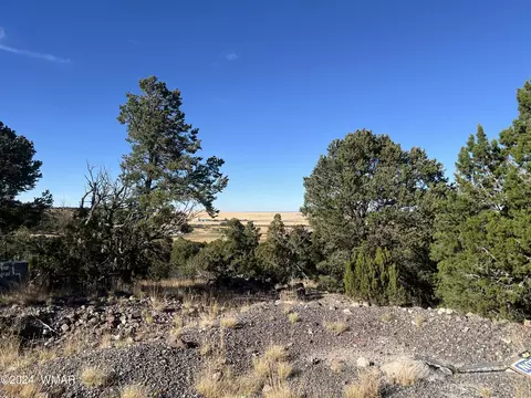 tbd S Skyline Dr, Eagar, AZ 85925 photo 2