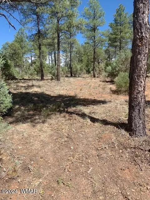 241 E Summerberry Dr, Show Low, AZ 85901