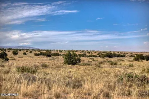 0 Unknown, Heber, AZ 85928 photo 6