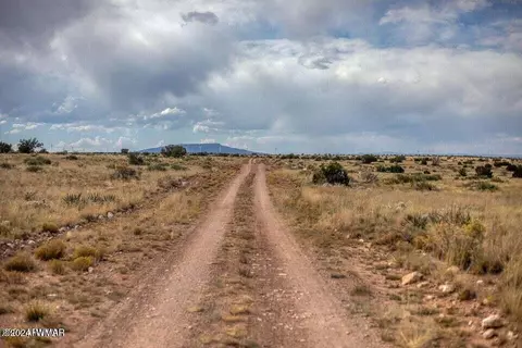 0 Unknown, Heber, AZ 85928 photo 8