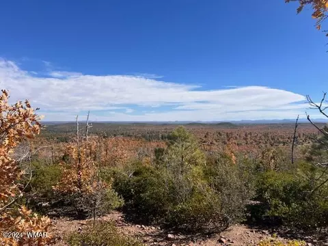 tbd Fieldy Rd, Show Low, AZ 85901