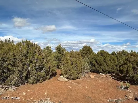 233 Cr 8088 Hohokam Rd, Concho, AZ 85924