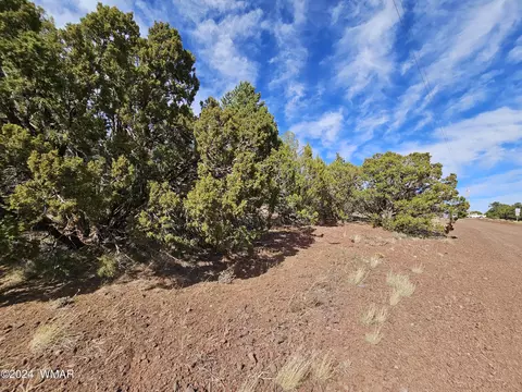 33 39 N Cr3312, Vernon, AZ 85940