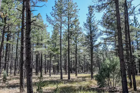 003 Birdsong Way # K, Lakeside, AZ 85929