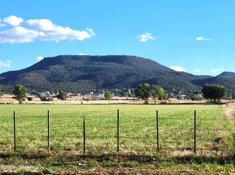 Other - 925 E Maricopa Dr, Springerville, AZ 85938 photo 6 of 8