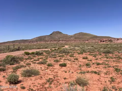 000 Power Line Rd, Woodruff, AZ 85942